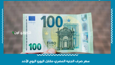 سعر صرف الجنيه المصري مقابل اليورو اليوم الأحد